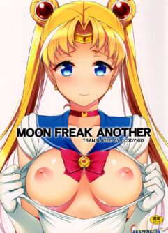  (C88) [Akapenguin (Asahina Hikage)] MOON FREAK ANOTHER (Bishoujo Senshi Sailor Moon) 